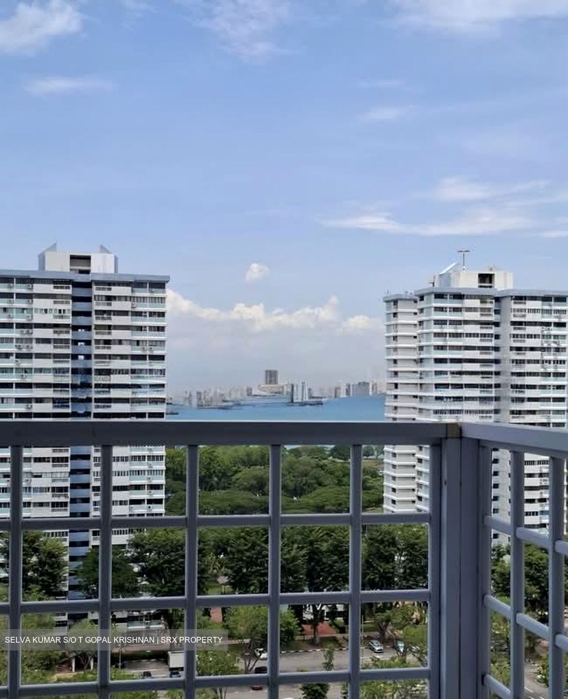 Hua Xin Court (D15), Condominium #553886211
